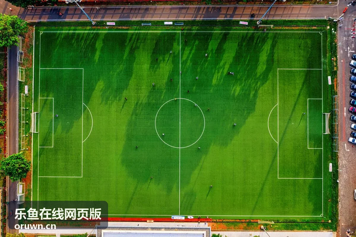 乐鱼在线网页版纪录片片段封面